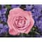 Crafting Spark Garden Rose Diamond Painting Kit
